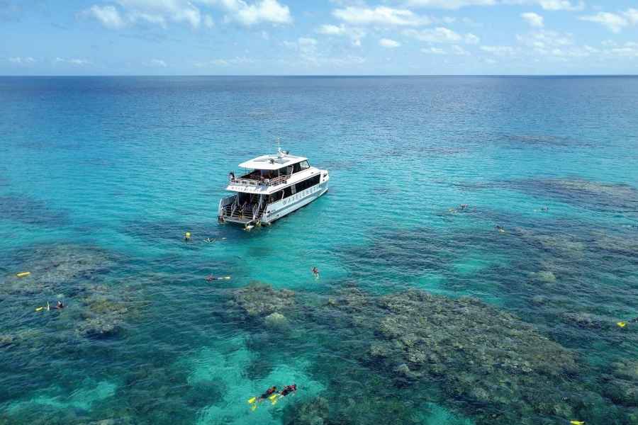 Port Douglas: Schnorchelausflug zum Äußeren Great Barrier Reef