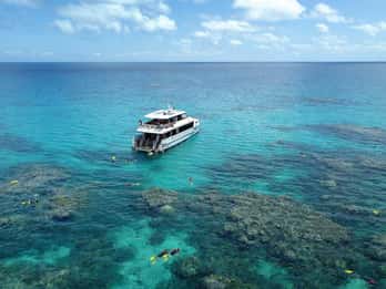 Port Douglas: Crociera per lo snorkeling della Grande Barriera Esterna