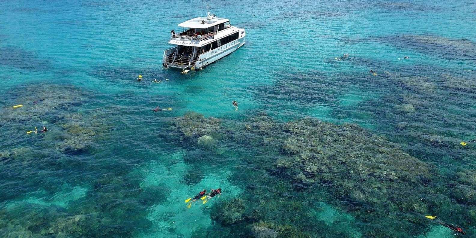 Port Douglas: Outer Great Barrier Reef Snorkeling Cruise