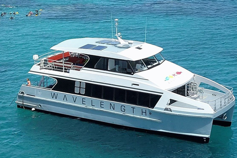 Port Douglas : Croisière de plongée en apnée sur la Grande Barrière de Corail extérieure