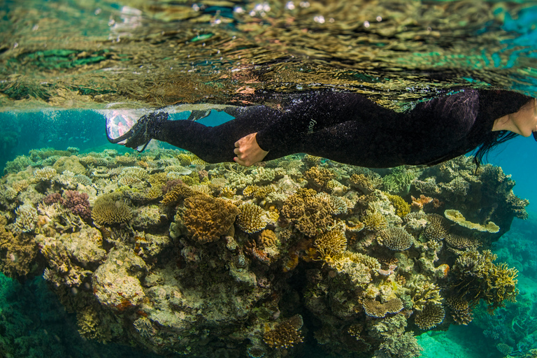 Port Douglas: Snorkelcruise buiten het Groot Barrièrerif