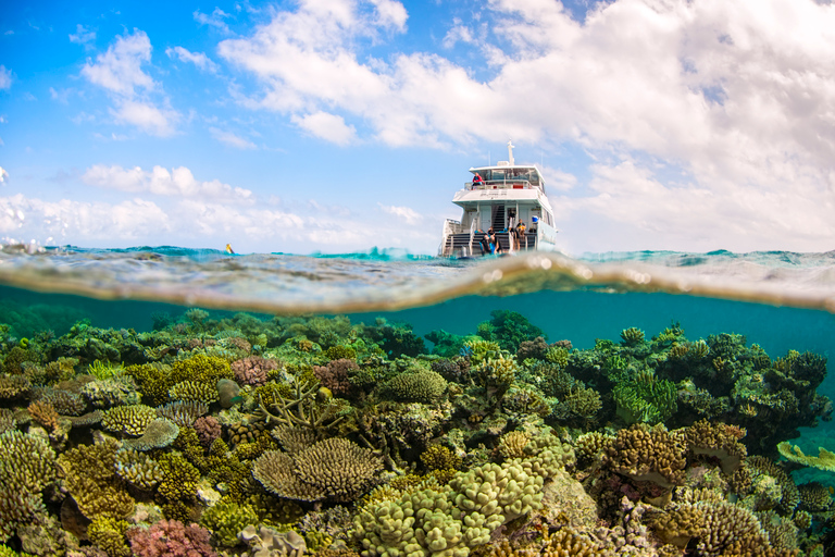 Port Douglas: Snorklingskryssning i Stora barriärrevets yttre delPort Douglas: Snorkelkryssning i yttre Stora Barriärrevet