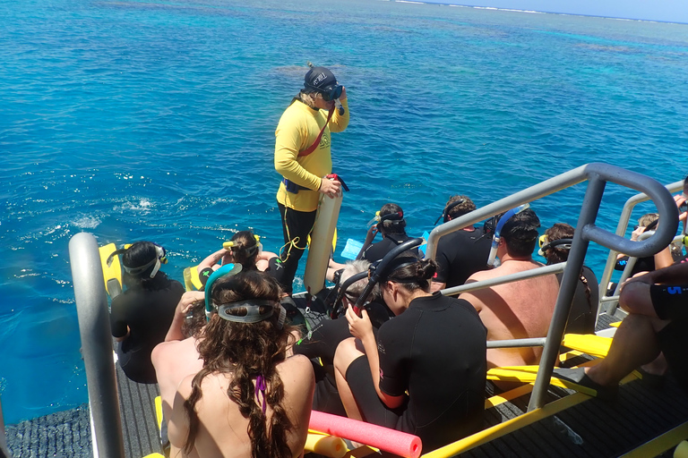 Port Douglas: Schnorchelausflug zum Äußeren Great Barrier ReefPort Douglas: Schnorchelausflug zum Äußeren Barriere Riff