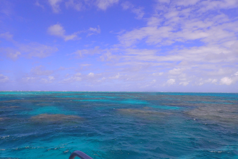 Port Douglas: Outer Great Barrier Reef Snorkeling Cruise