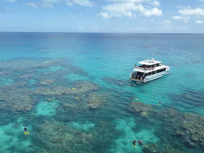 great barrier reef snorkeling tours port douglas