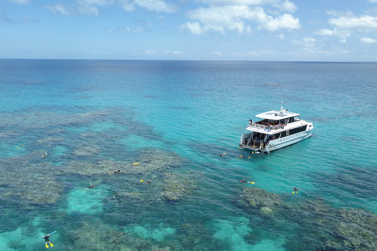 Puerto Douglas: Crucero de snorkel por la Gran Barrera de Coral ExteriorPuerto Douglas: Crucero de snorkel por la Barrera de Coral Exterior