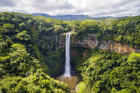 Tour privado del Sur con el Parque de los Cocodrilos y la Tierra de los Siete Colores