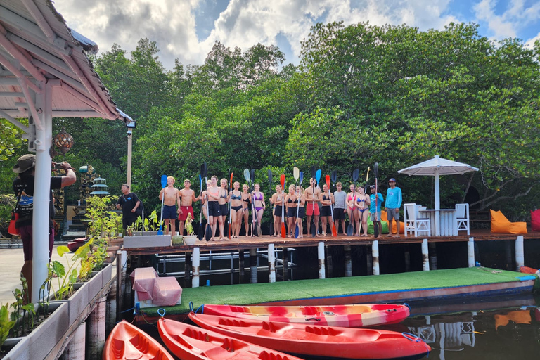 From Lembongan: Explore Mangrove with Kayak/Paddleboard/Boat Discover Mangrove Forest Tour by Paddle Board