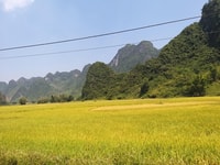 From Hanoi, 2-Day Ban Gioc Waterfall Tour - Housity