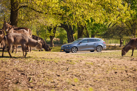 هيلفارينبيك: تذكرة دخول Safaripark Beekse Bergen