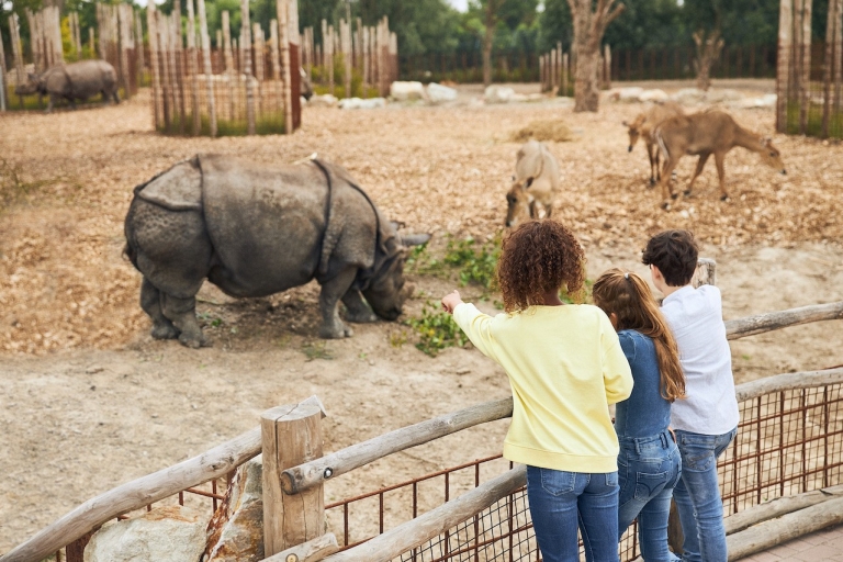 Eindhoven: Entrada al Zoo de Dierenrijk
