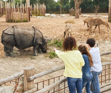 Bilet wstępu do zoo w Eindhoven