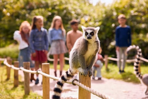 Leewarden: AquaZoo Entry Ticket