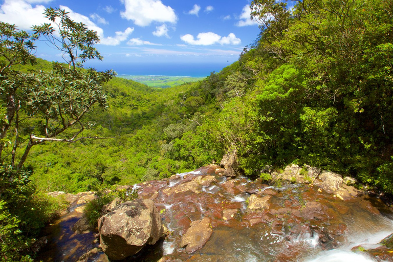 Tour privado del Sur con el Parque de los Cocodrilos y la Tierra de los Siete Colores