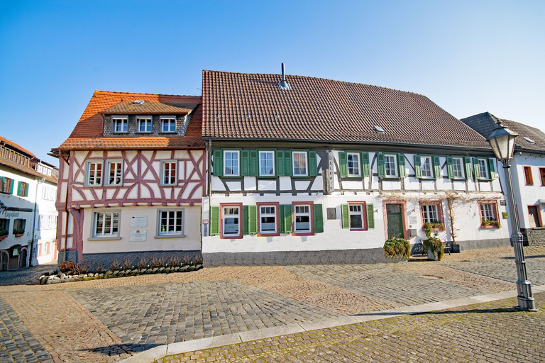 Hanau: Private Guided Walking Tour