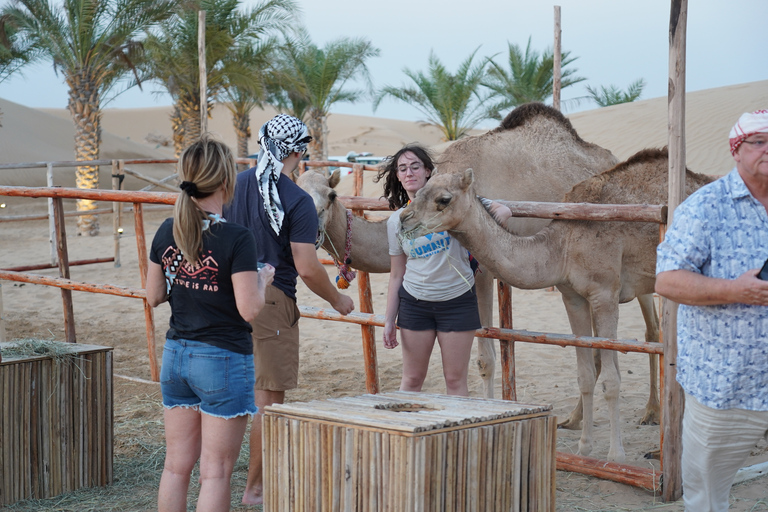 Experiencia en tienda en safari en el desierto de DubáiDesierto y experiencia VIP de 1 día en campamento de lujo