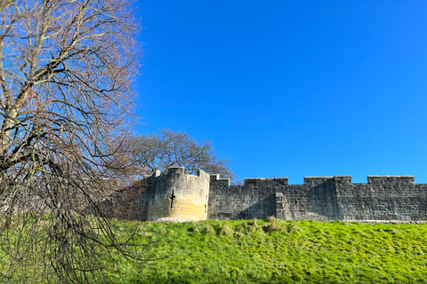 York: visite guidée à pied médiévale dans la pagaille