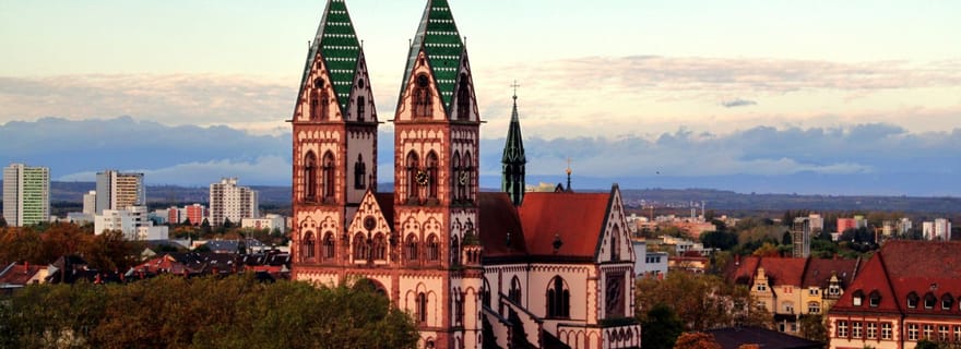 Freiburg : Visite guidée privée à pied
