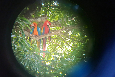 Costa Rica: Arenal, Monteverde, and Manuel Antonio Tour