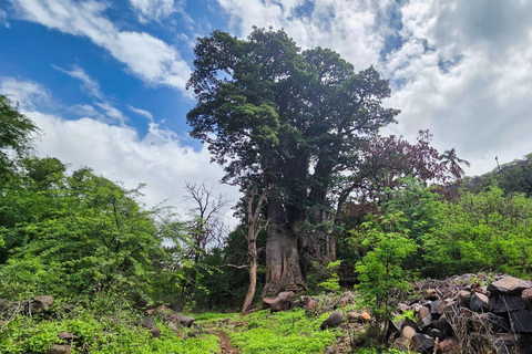 普拉亚：卡拉巴塞拉-老城区徒步之旅，咖啡休息和朗姆酒品尝海滩：卡拉巴塞拉步行-老城区，咖啡休息和朗姆酒品尝