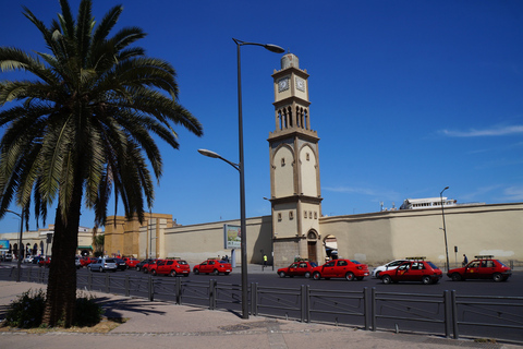 From Marrakech: Casablanca Day Tour