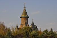 Timișoara, paseo expreso con un local en 60 minutos - Hizvo
