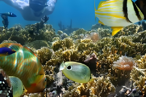 Beste snorkelavontuur op Bali met spannende activiteiten