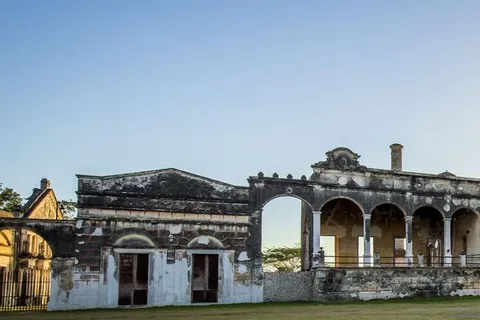 Merida: Yucatan Cenotes and Hacienda Full-Day Trip with Food