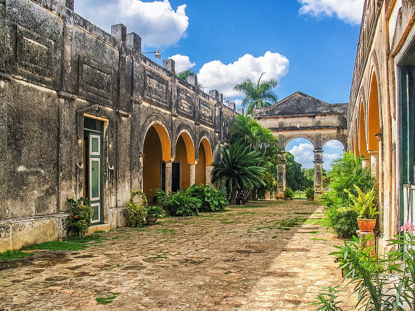 Mérida : Excursion D'une Journée Dans Les Cénotes Et L'hacienda Du ...