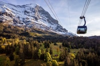 From Grindelwald, Jungfraujoch Round-Trip Railway Ticket - Housity