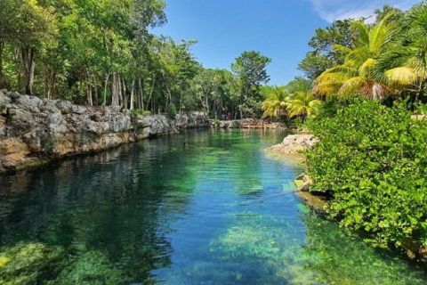 From Playa del Carmen: Casa Tortuga Cenotes & Zipline Tour
