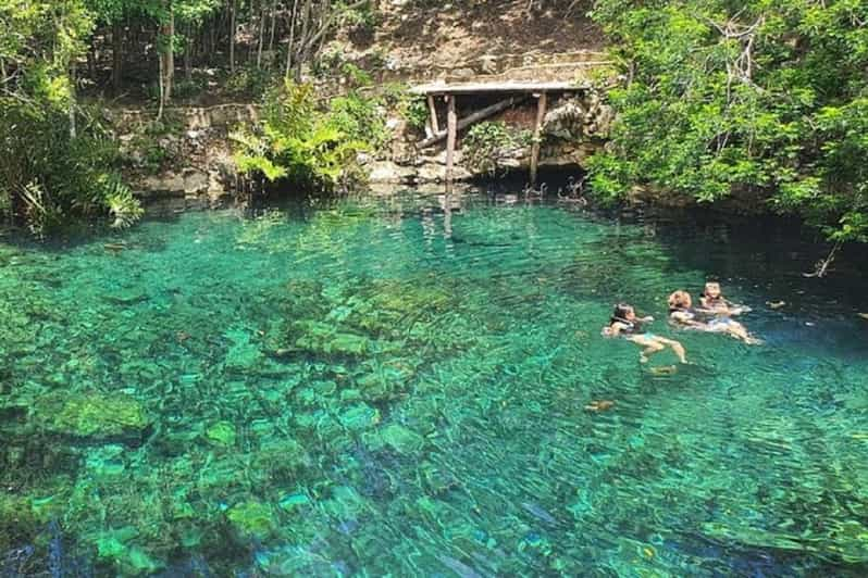 From Playa del Carmen: Casa Tortuga Cenotes & Zipline Tour | GetYourGuide