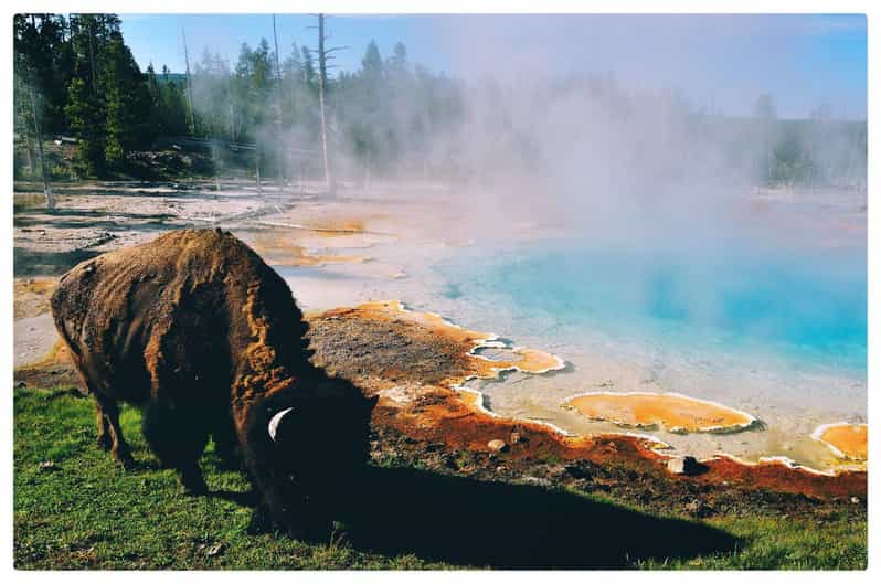 Yellowstone: Full-day Tour with Horse Riding and Lunch | GetYourGuide