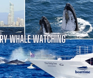 Gold Coast: Luxury Whale Watching Tour on a Superyacht