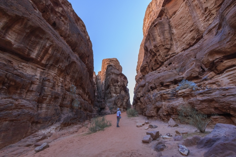 From Wadi Rum: 8 Hour Jeep Tour with Meal & One-Night Stay