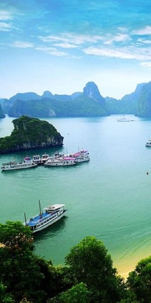 From Hanoi Day Ha Long Bay Tour With Ninh Binh And Cruise Getyourguide