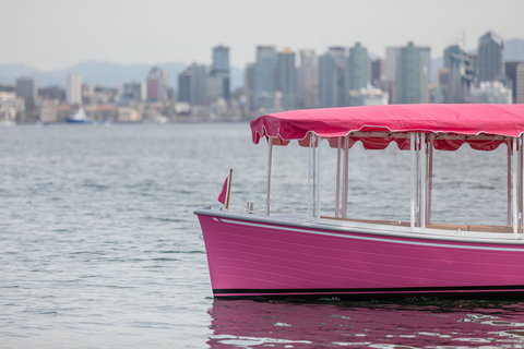 Pink Private Boat Cruise in San Diego! Bachelorette Birthday