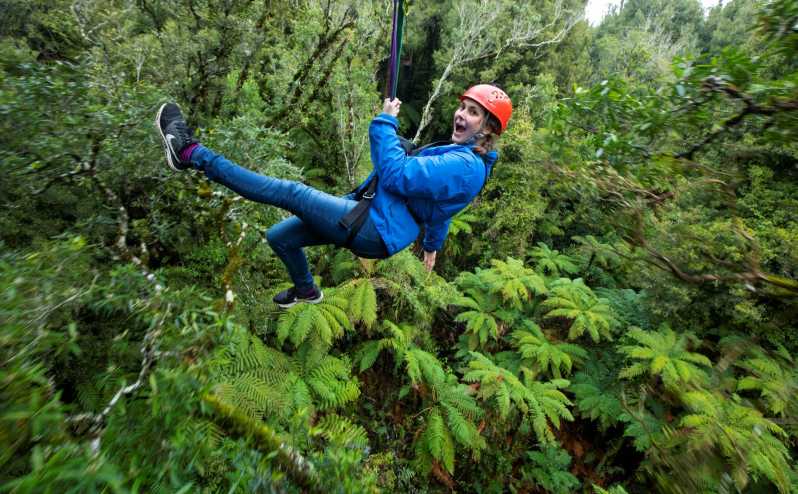 Rotorua: Guided Zipline Adventure Tour with Photos
