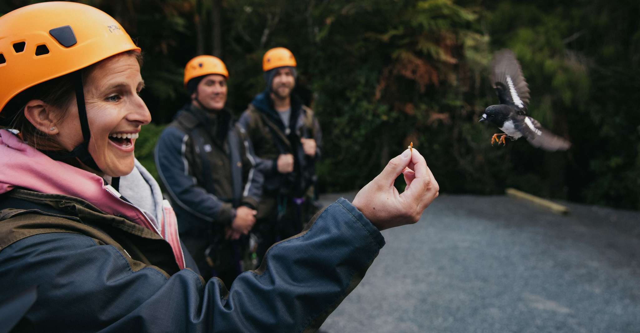 Rotorua, Guided Zipline Adventure Tour with Photos - Housity