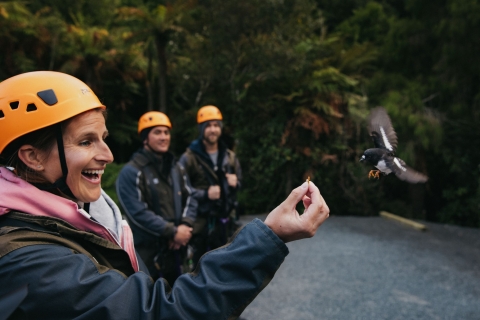 Rotorua: 3-stündige Zipline-Tour in den Baumwipfeln