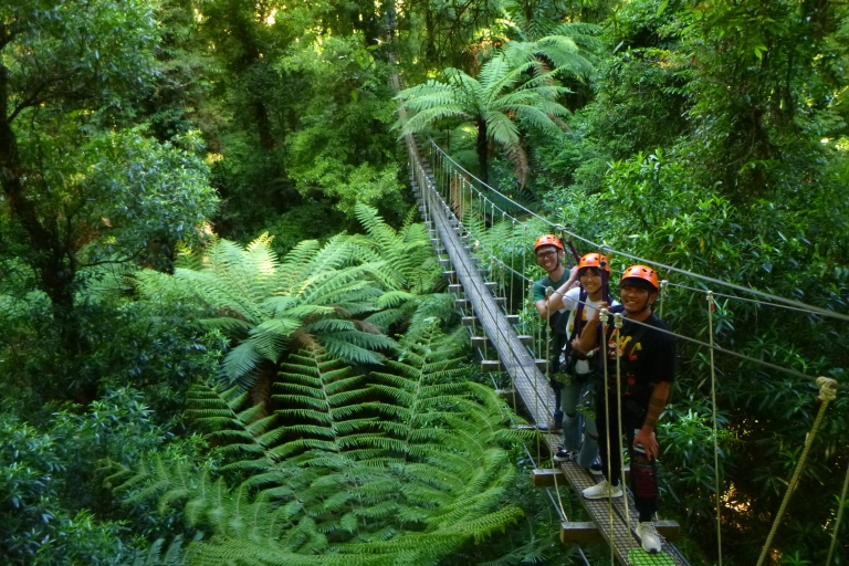 Rotorua Forest 3-godzinna wycieczka po linie z baldachimem