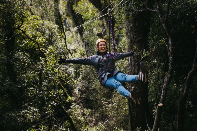 Visite de la canopée en tyrolienne de la forêt de Rotorua de 3 heures