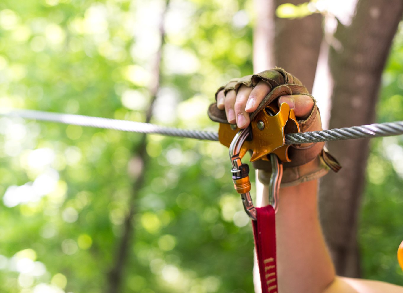 Henderson, Minnesota: Zipline Canopy Tour med 14 linjer