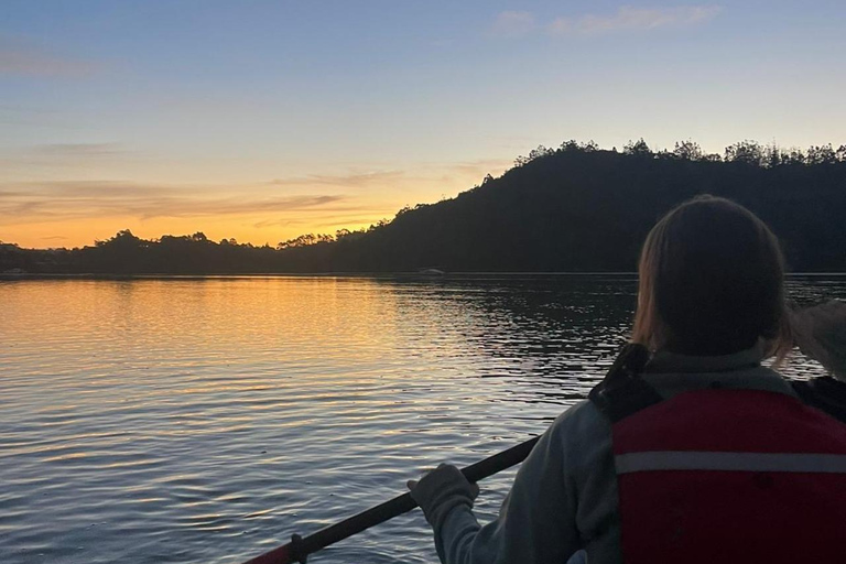 Auckland: Bioluminescence Kayak Tour with Guide