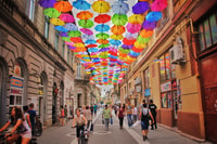 Timișoara, City Tour con un local - Hizvo