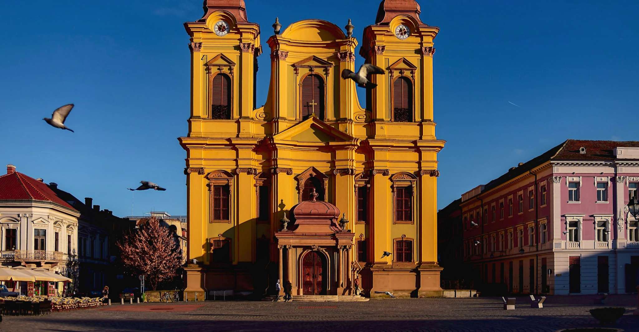Timișoara, City Tour con un locale - Hizvo