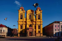 Timișoara, City Tour con un local - Hizvo