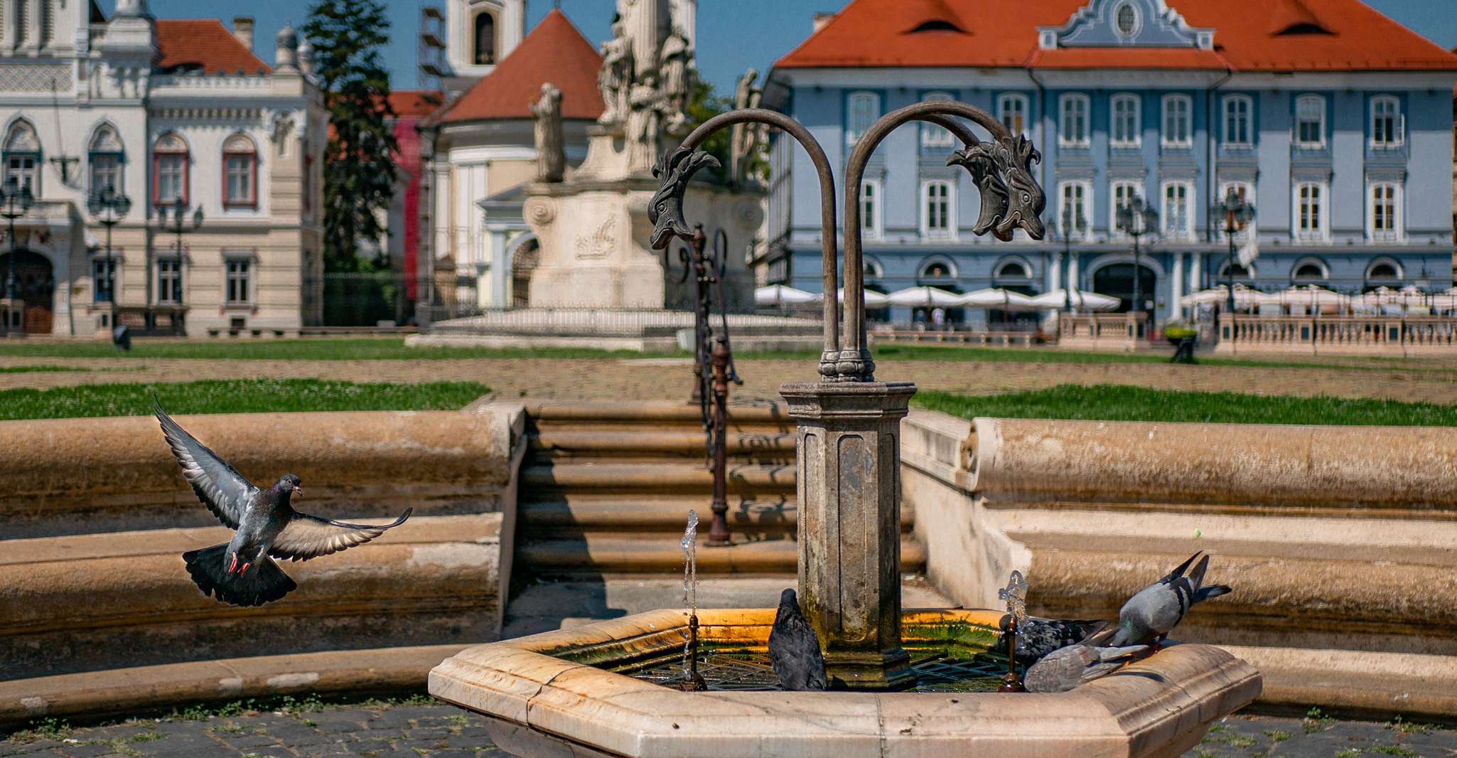 Timișoara, beste Photogenic Spots Tour mit einem lokalen - Hizvo