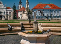 Timișoara, beste Photogenic Spots Tour mit einem lokalen - Hizvo