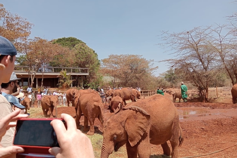 Nairobi: safari de 4 jours sur le lac Mara et Nakuru